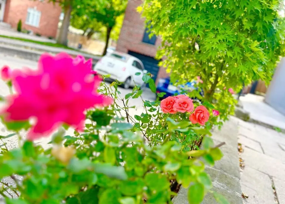 別荘 Central トロント