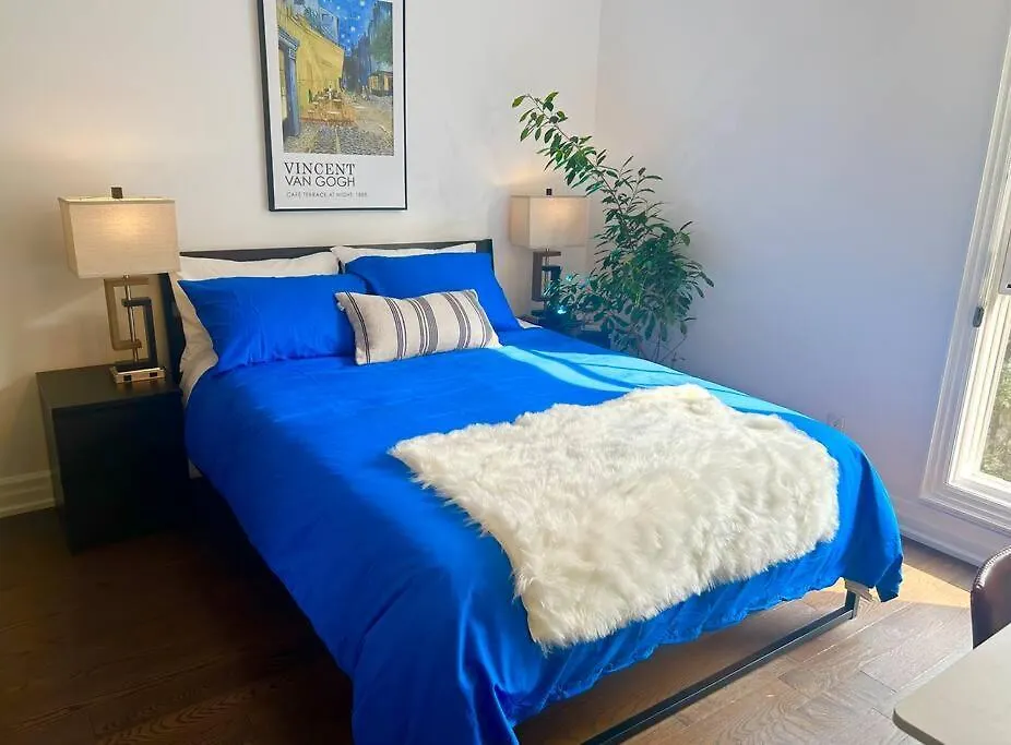 Central トロント 0*,